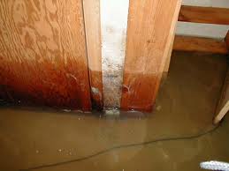 Controlling Water Damage Early is Important