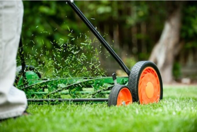 How To Save Time and Money With Proper Lawn Care Practices?