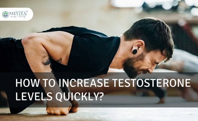 How to Increase Testosterone Levels Quickly?