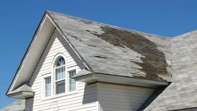 How to Identify Signs of Roof Damage for Your Ottawa Home