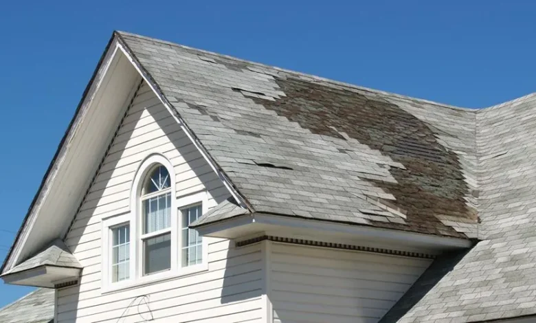 How to Identify Signs of Roof Damage for Your Ottawa Home